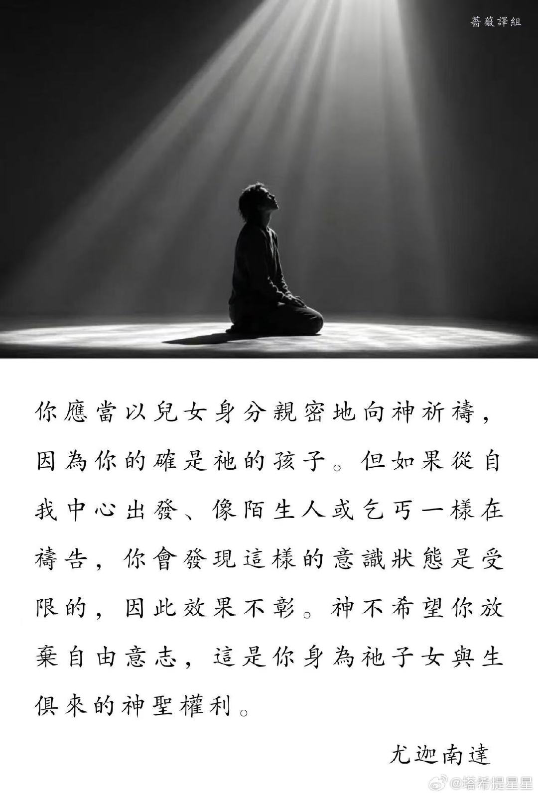 蔷薇译组群内分享 ​