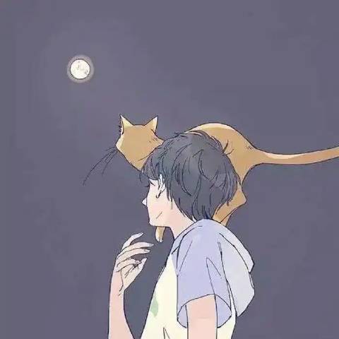 岛屿晴空