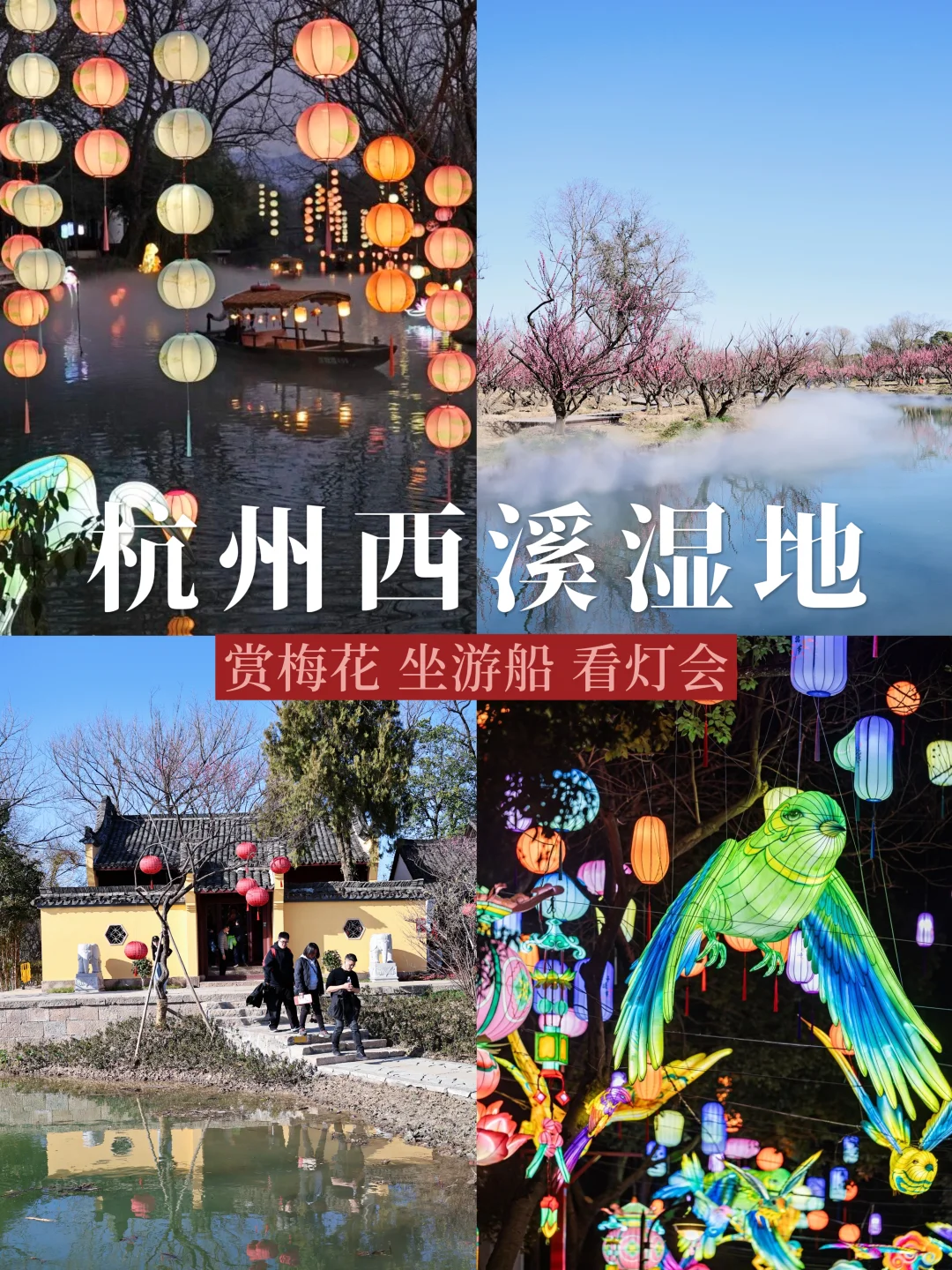 杭州西溪湿地｜赏梅坐游船 春风熏得游人醉