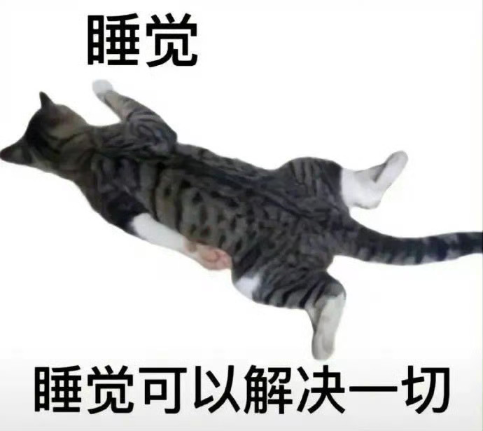 冷门实用表情包