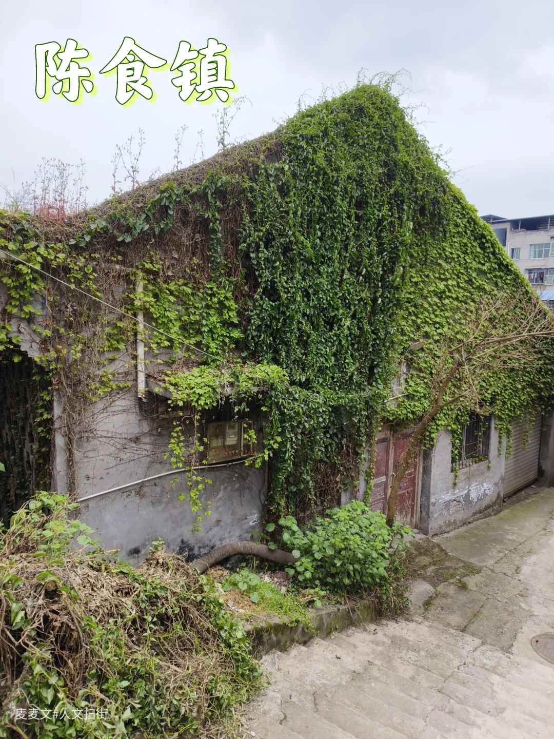 【永川】陈食烧烤一条街/万寿路老街