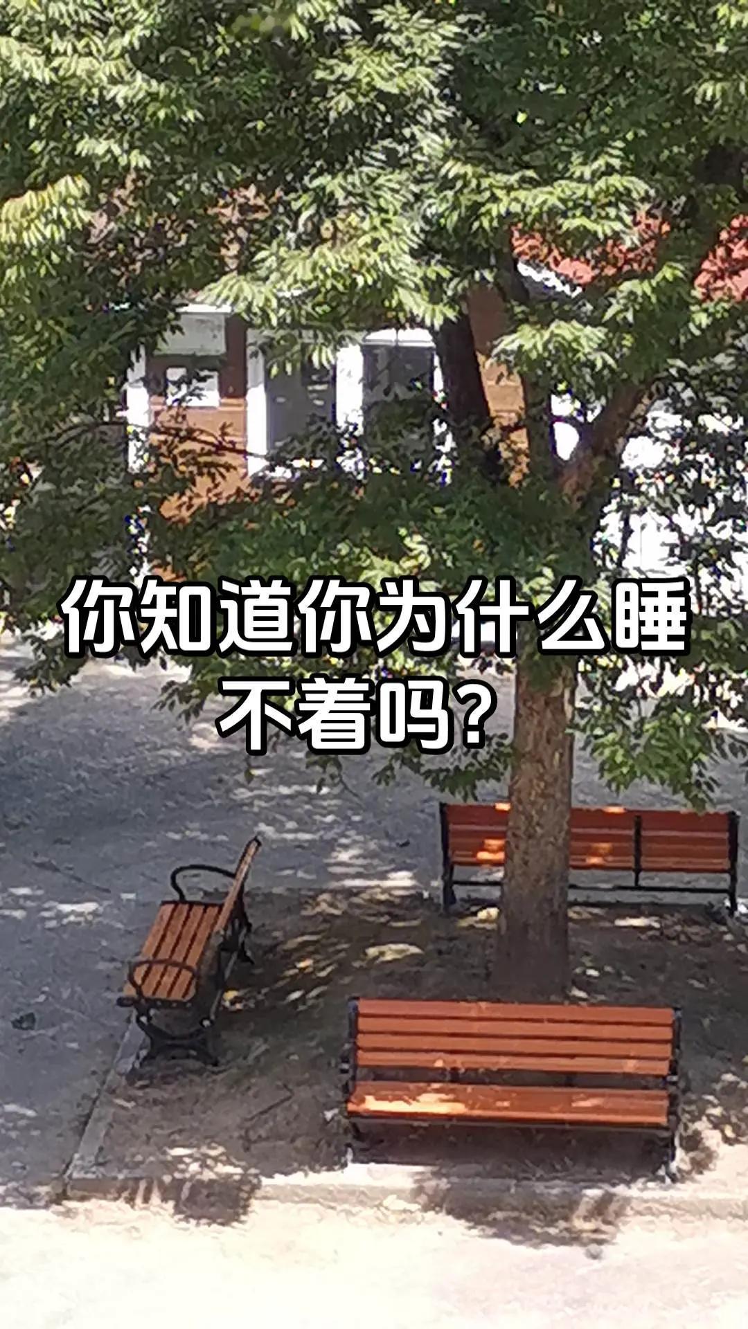 第二届