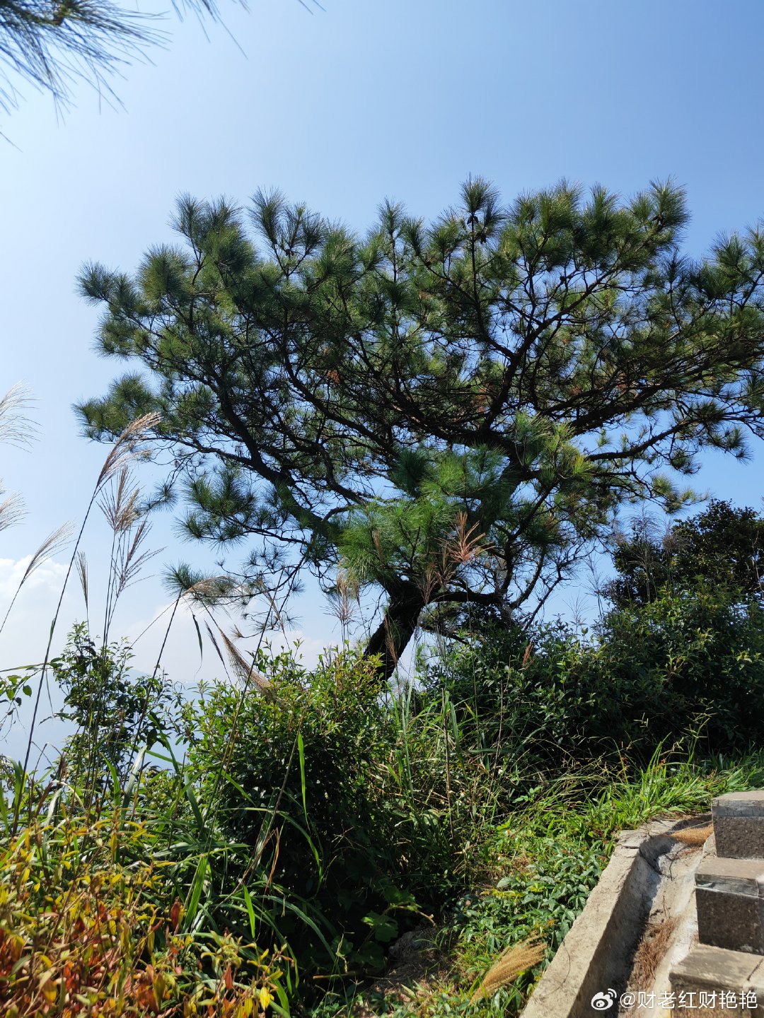 2026年5月，成都一小区因孩子玩水气球起争执，对方妈妈非但未劝阻反摇来8人持钢管殴打，导致谢先生妻子肋骨骨折、多人受伤。 一、事件起因与核心经过- 起因：2026年5月23日傍晚，成都郫都区一小区，