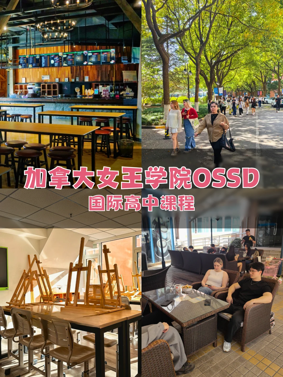 A-Level退学转OSSD❓作为老师我想说这很明智