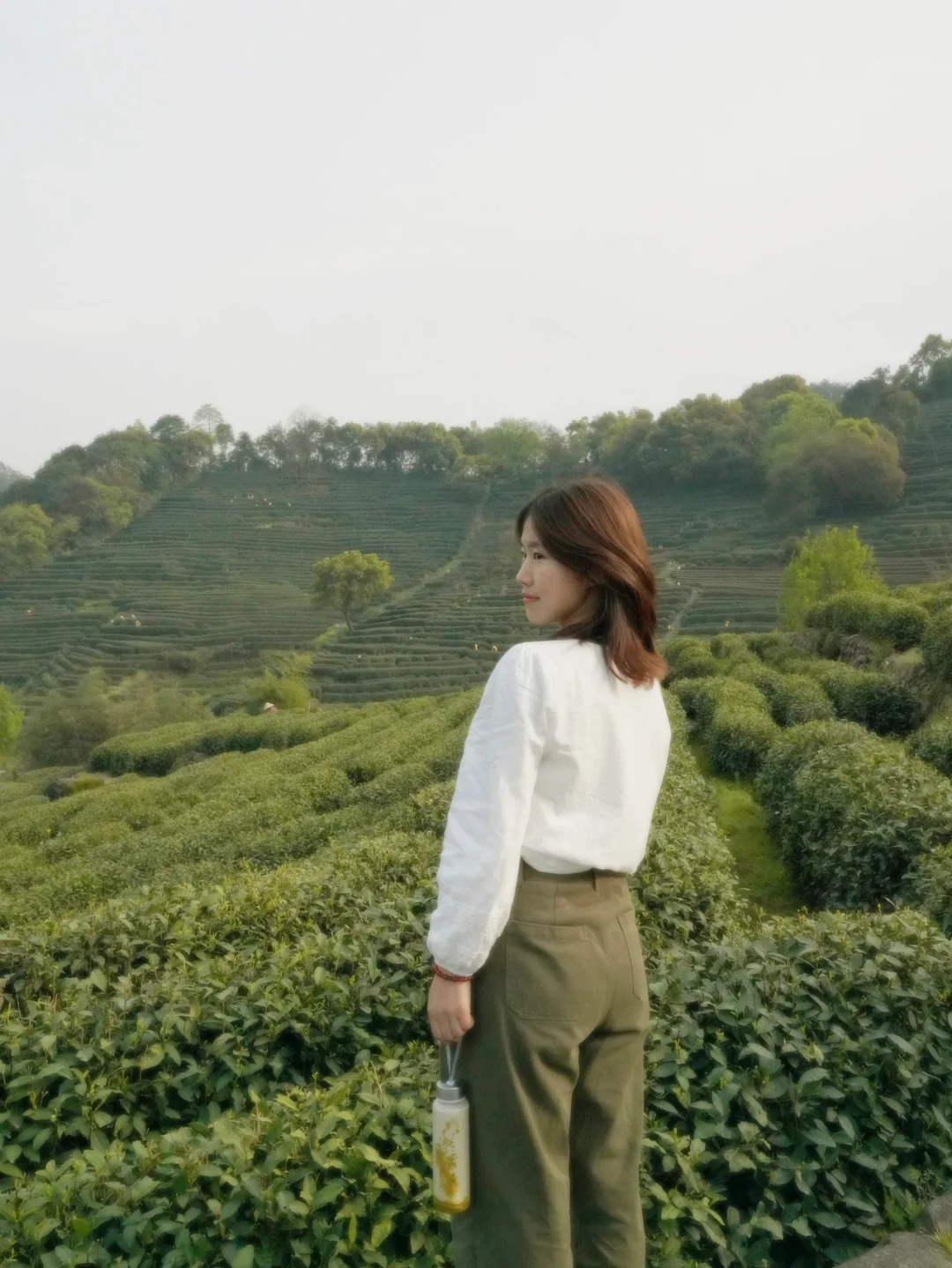 春日漫步｜西湖边必去的茶山秘境，享千亩茶园