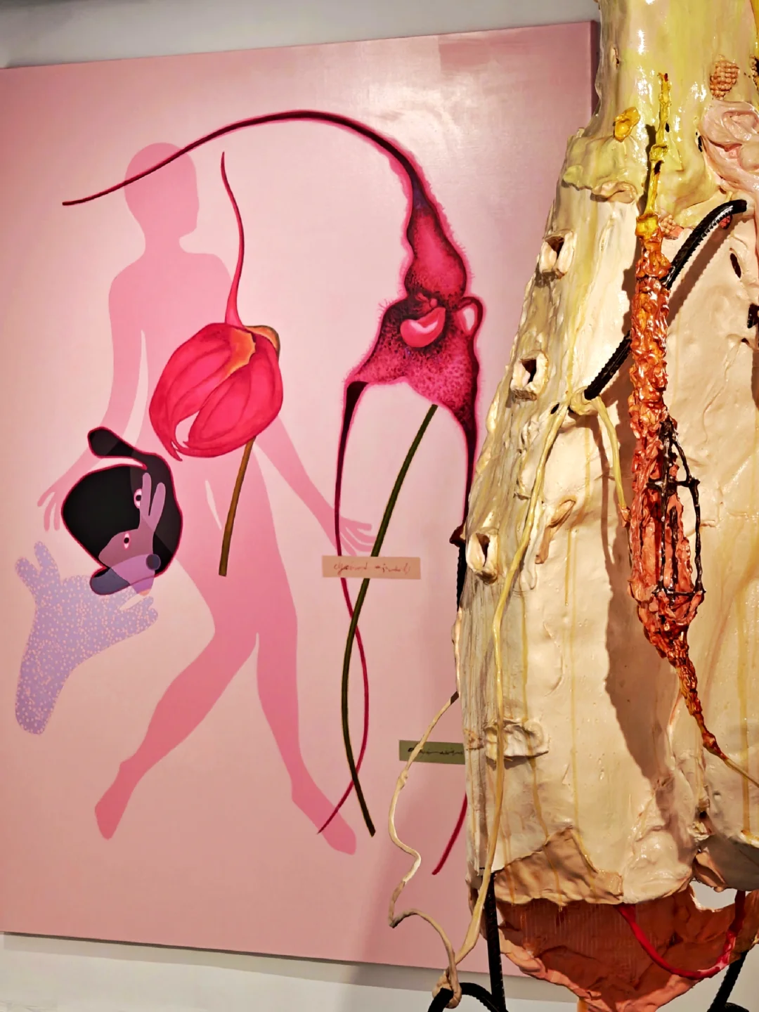 “植物最渴望行走”