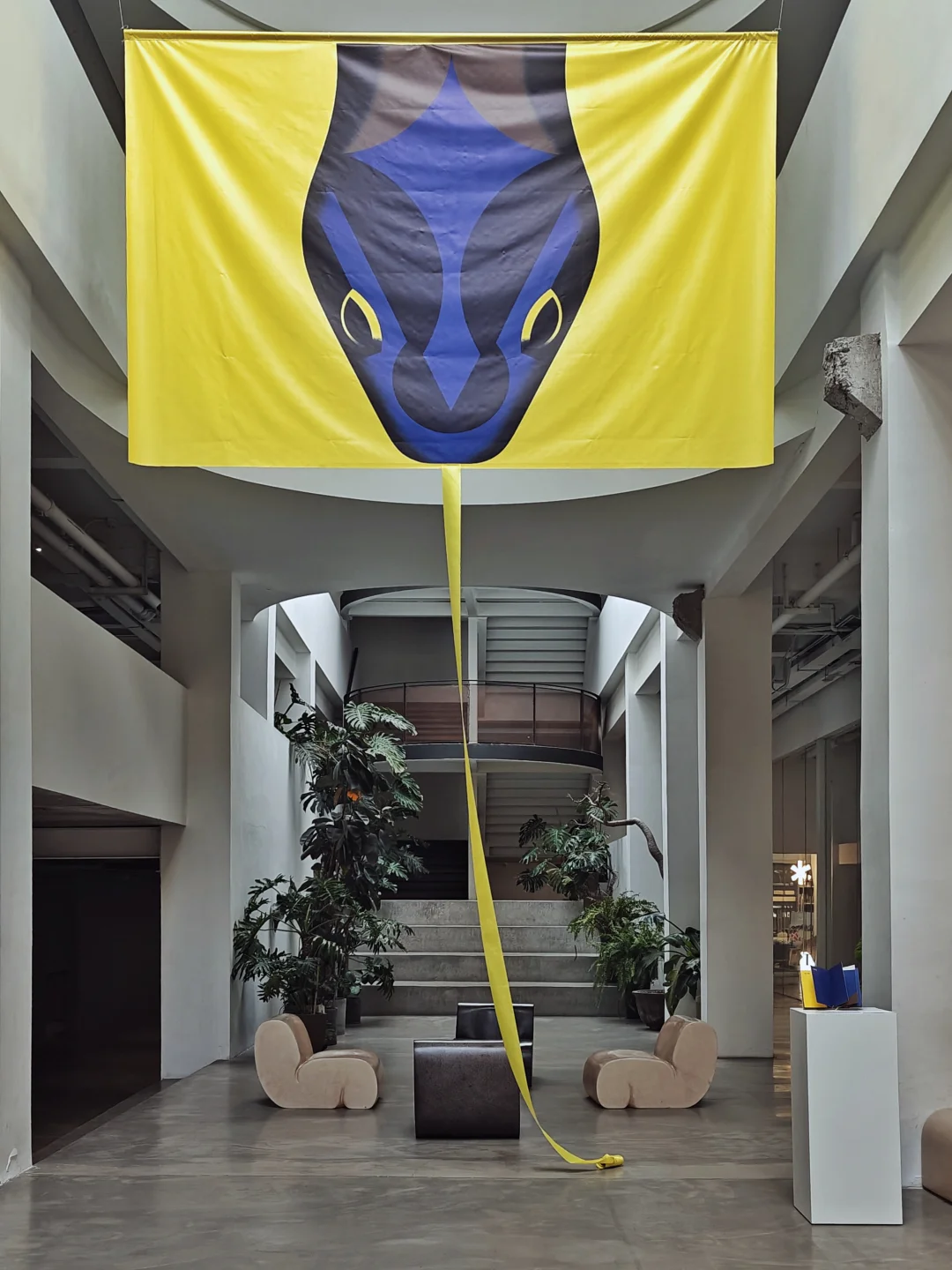 🐍年你好，🐉年再见｜随手拍记录生活