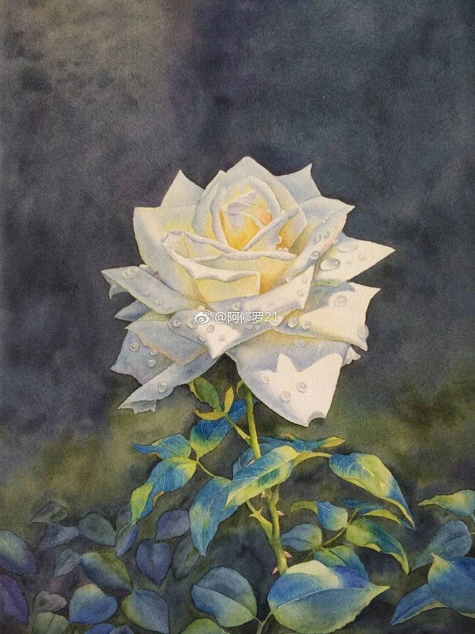 临摹黄有维老师的白玫瑰