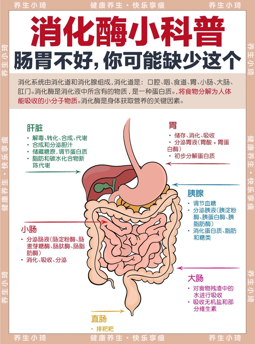 肠道不好的姐妹，进来自测‼️