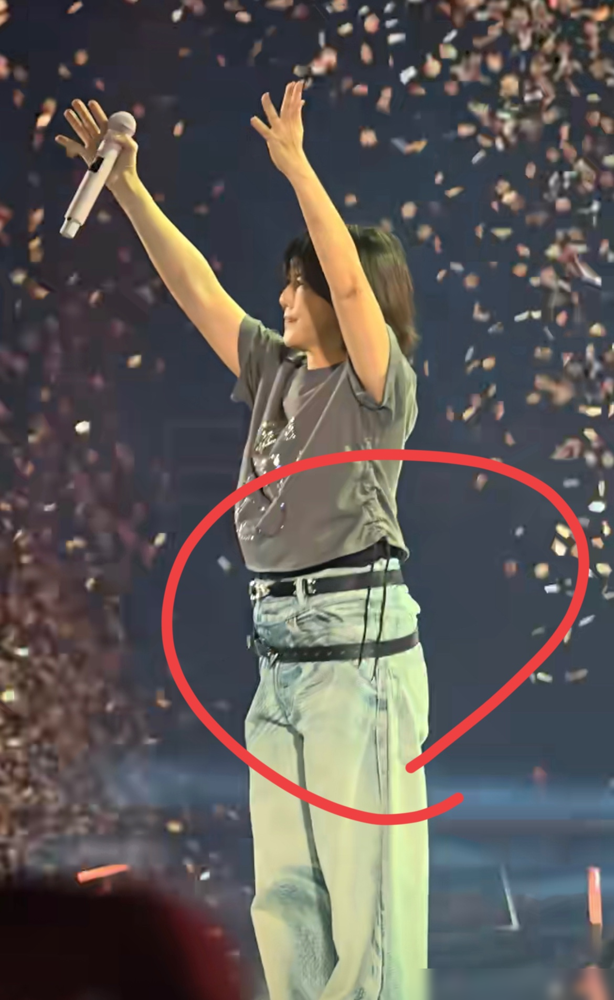 造型师跟孙燕姿有仇吧？
48岁的她站上巡演舞台，一条腰带直接把腰腹勒成热搜。白羽毛装被嘲像海胆，抹胸裙被说像粽子，网友嘴下不留情：松松垮垮像麻袋。
可另一边，歌迷用票根说话。《天黑黑》一开口，全场照样起鸡皮疙瘩。胖了照样值回票价，这嗓子二十年没变过。
有意思的是，被骂上热搜后，她没急着减肥，转