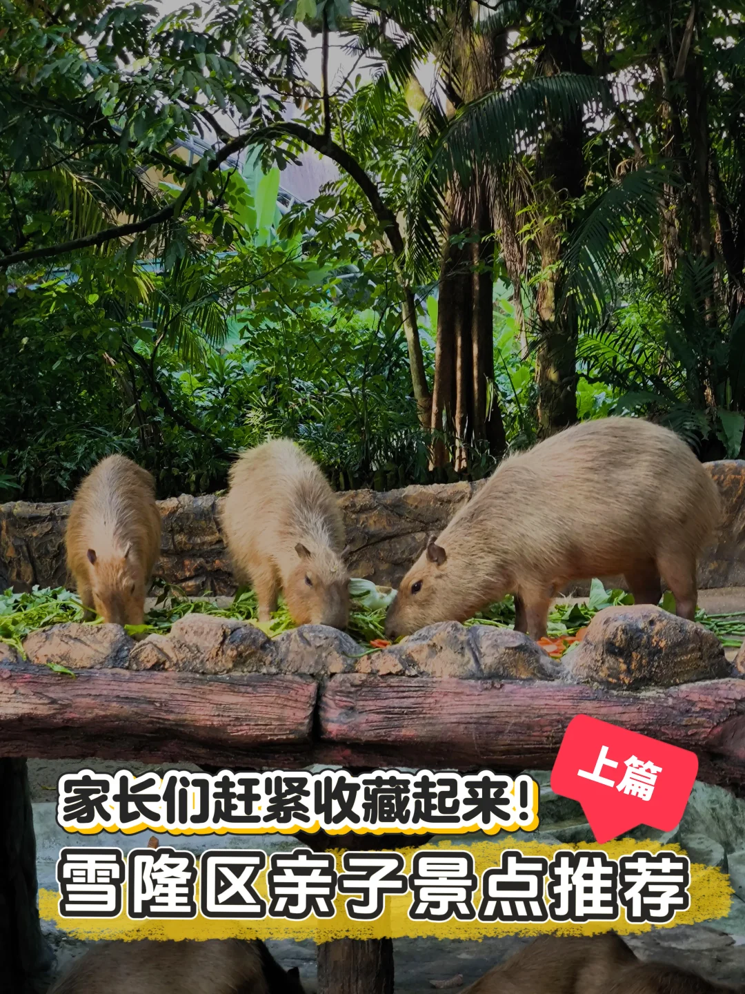 🇲🇾雪隆亲子景点推荐！一日游可以这样玩！