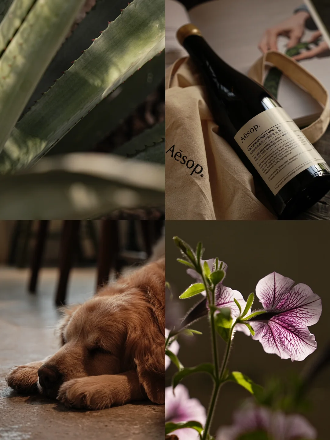 在消闲的缝隙里 去感知细微末节