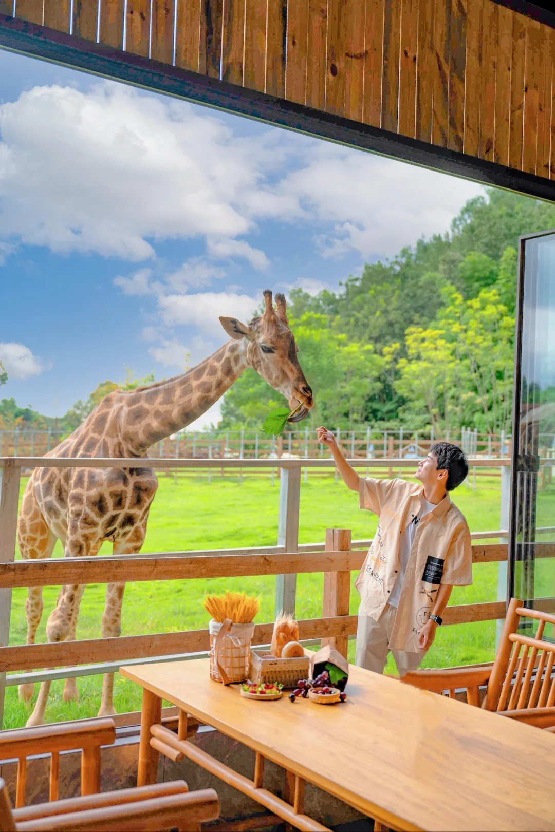 这真的是在成都‼️所有人都以为我去了非洲