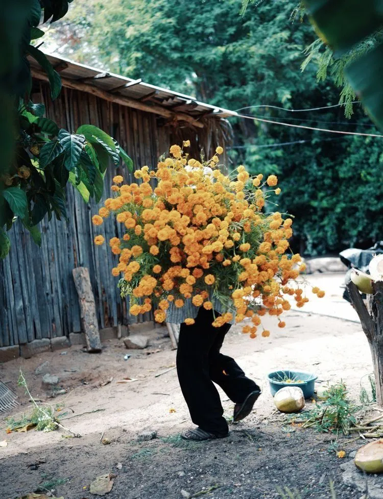 🌸❤️年华流转中的温情时刻