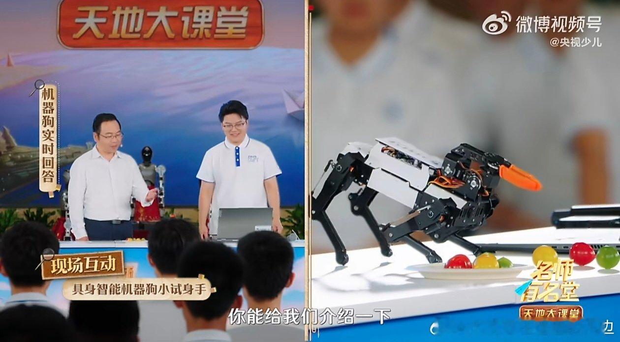 #北邮具身机器狗能认颜色抓番茄# 脑洞直接打开！以后农业采摘分拣场景，这不就有现成解题思路吗，科研落地的苗头，已经肉眼可以捕捉到[抱一抱] ​