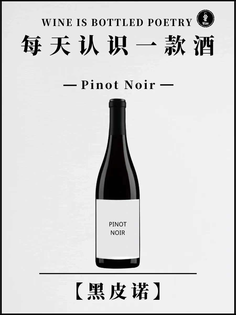 No.1每天认识一款酒 | 黑皮诺 Pinot Noir