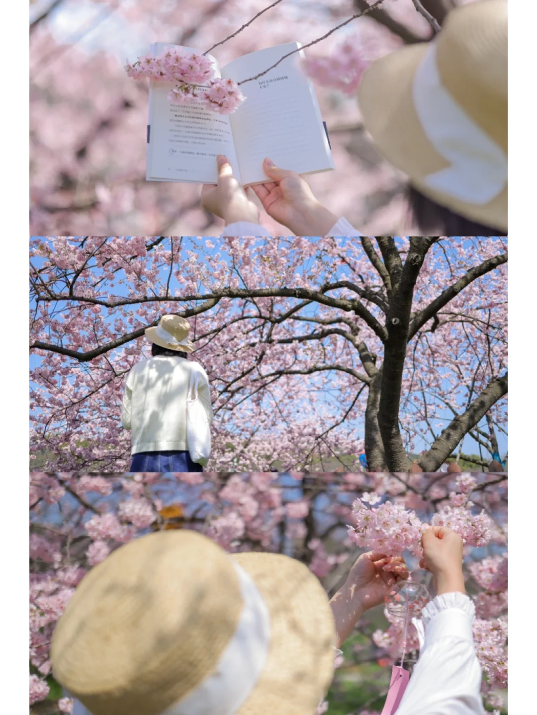 我在武汉拍了一部春日电影❗️每帧都爱惨了