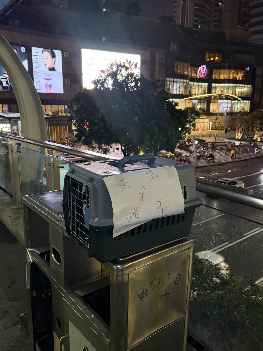佛山王府井天桥上垃圾桶上有一箱猫猫