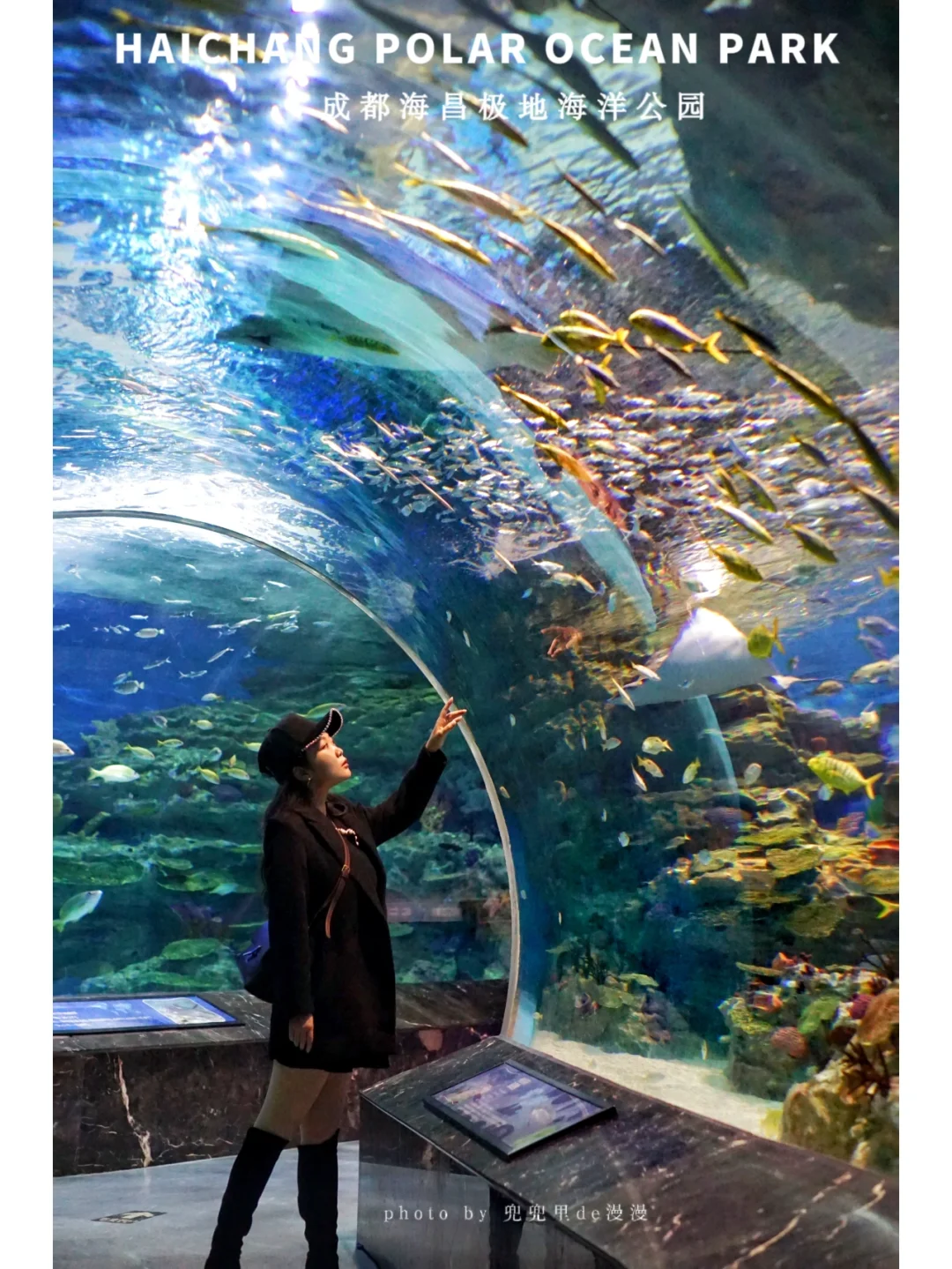 成都周末游｜在成都感受蓝色大海的浪漫传说