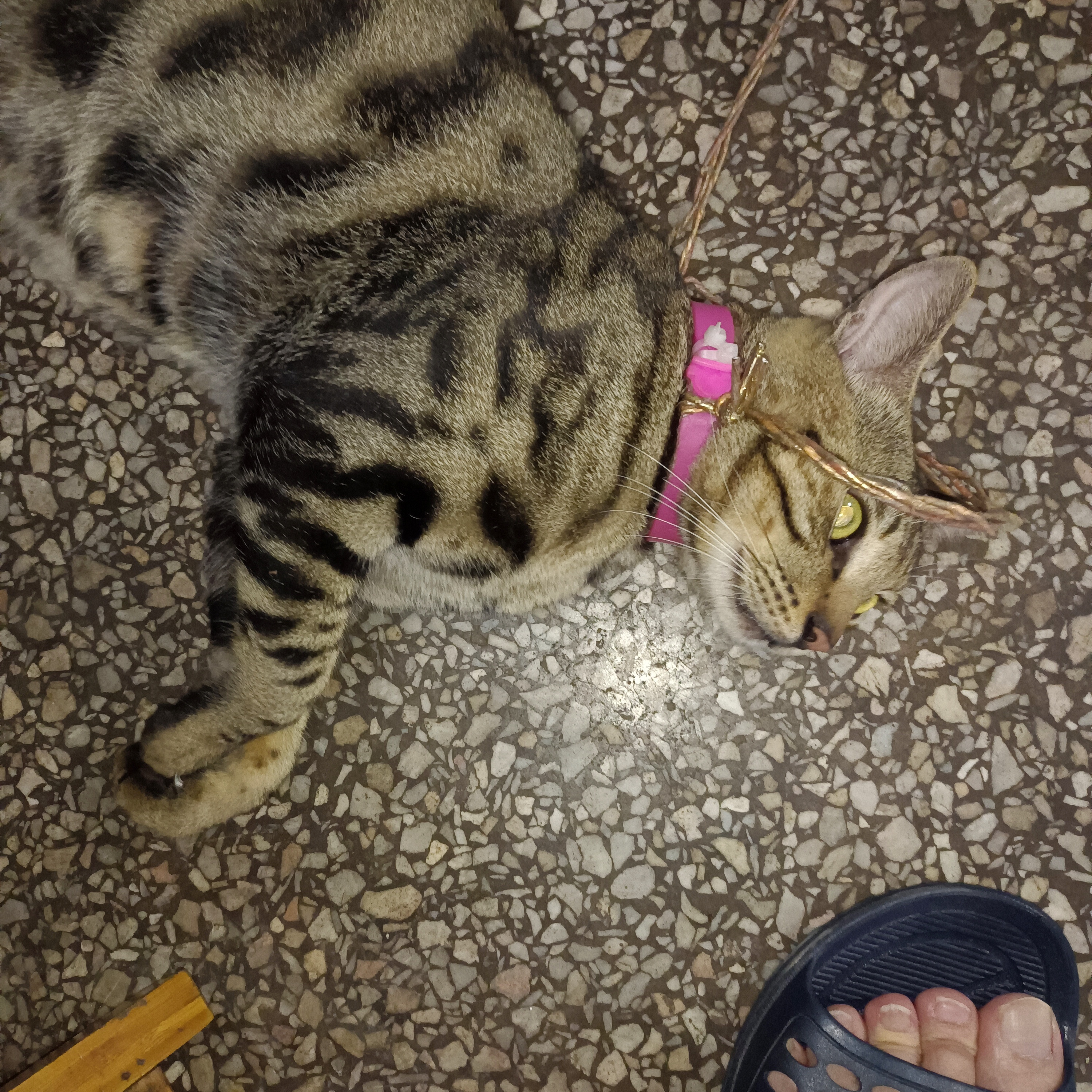 -1[呲牙][呲牙][呲牙]看来马刺并没有那么强[灵光一闪][灵光一闪...