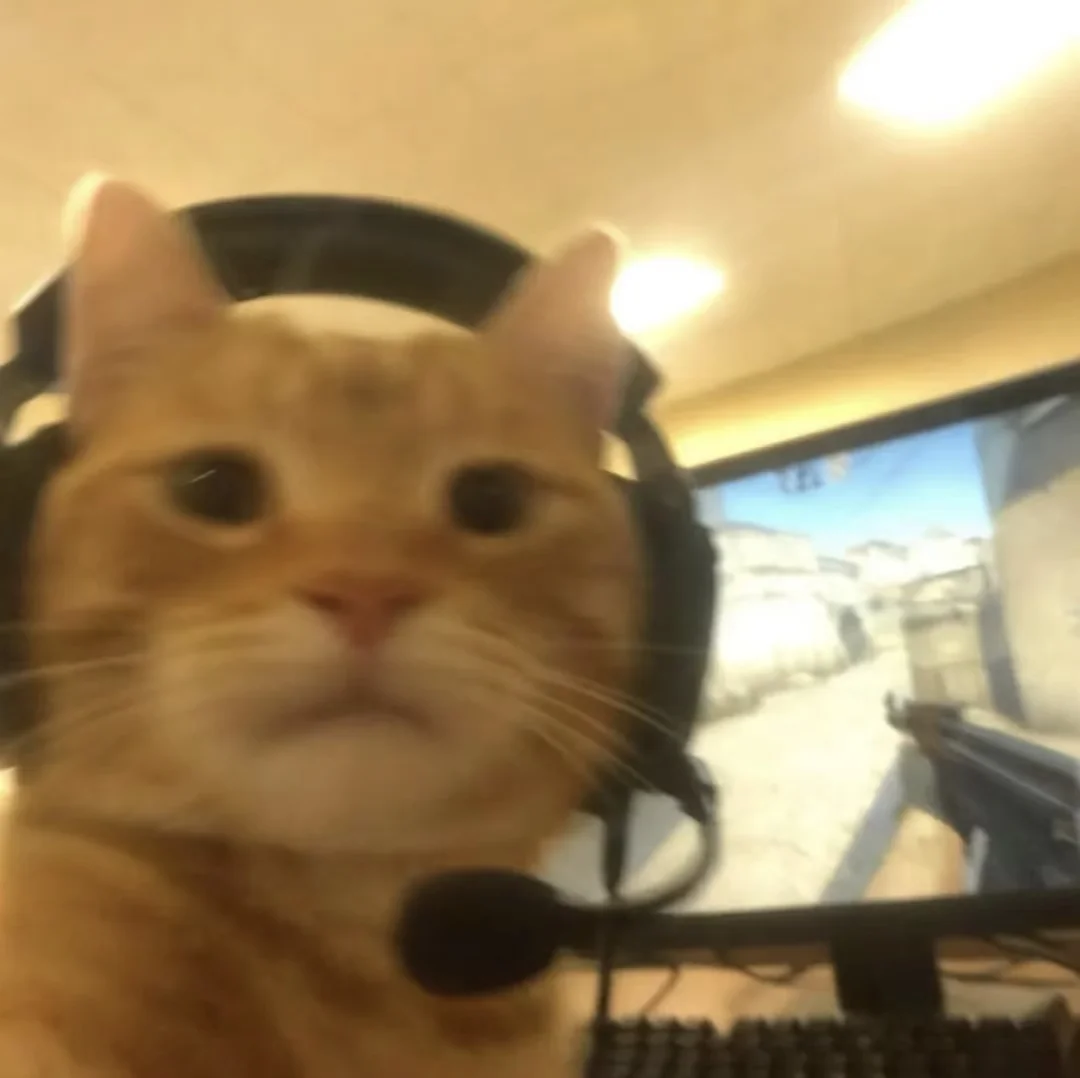 人，没有论文的话秋招也没事哦