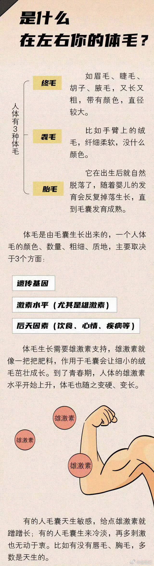 【为什么有些人的体毛又多又密？】据说体毛多的人，胸毛能扎小辫子，手毛可防蚊子咬，一到夏天买不完的脱毛膏……为什么有的人体毛很多，有的人则很少？又为何有的人脸上光滑细腻，腿毛却茂密如丛林？需要特别提醒的是，女性发生多毛症要警惕多囊卵巢综合征↓↓ ​#张元英把手臂汗毛P掉了# ​