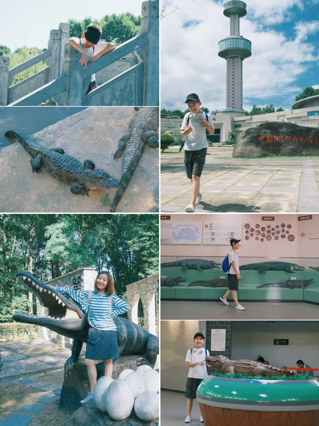 宣城·鳄鱼湖🐊快来copy这条扬子鳄打卡攻略！