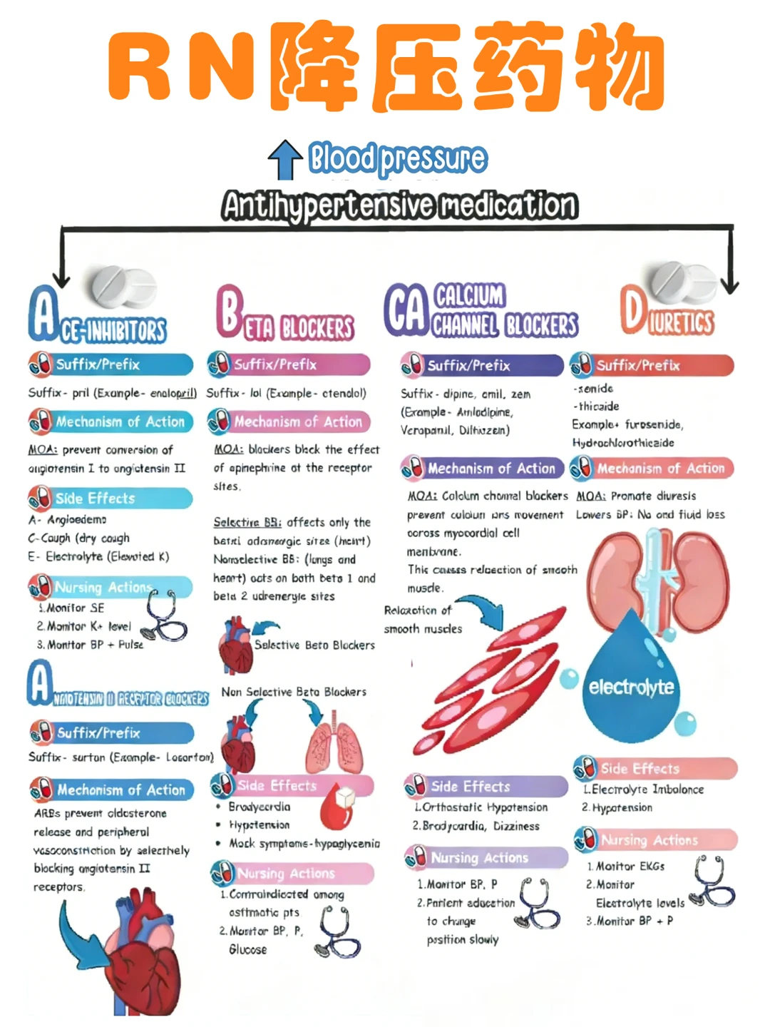 备考RN/降压药物中英文！！学！！单词