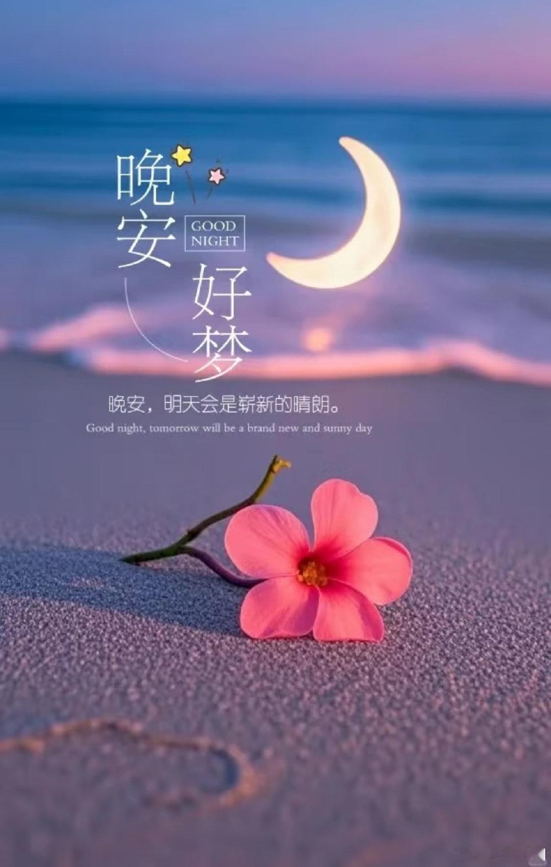 #浙里有一条杭妹的晚上好# 真正的努力需要张弛有度，休息从不是偷懒，而是为更好出发蓄力，今夜愿你卸下疲惫，安然入梦。
via.网络 ​