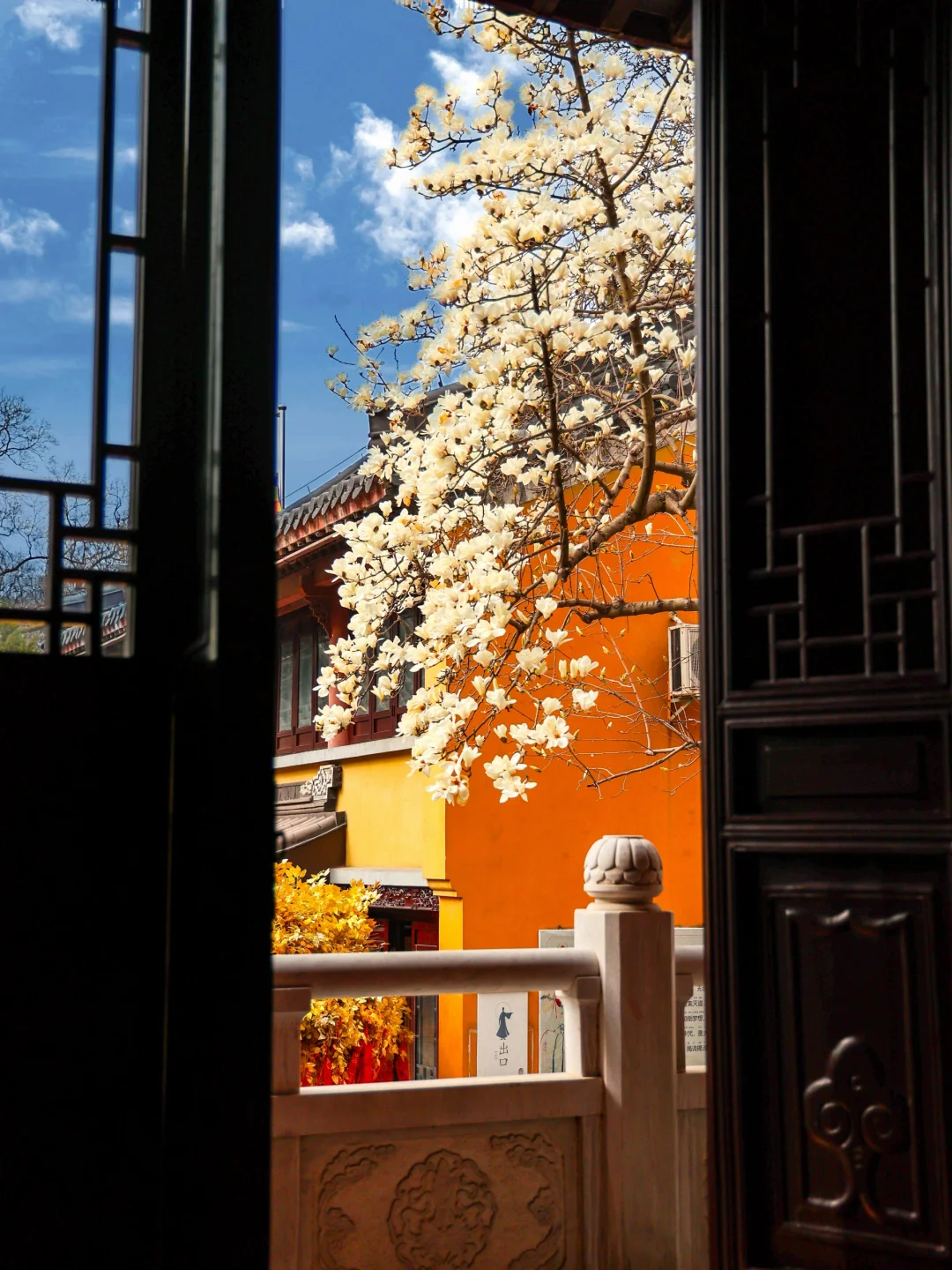 灵谷寺玉兰绝美花窗❗附不花钱攻略