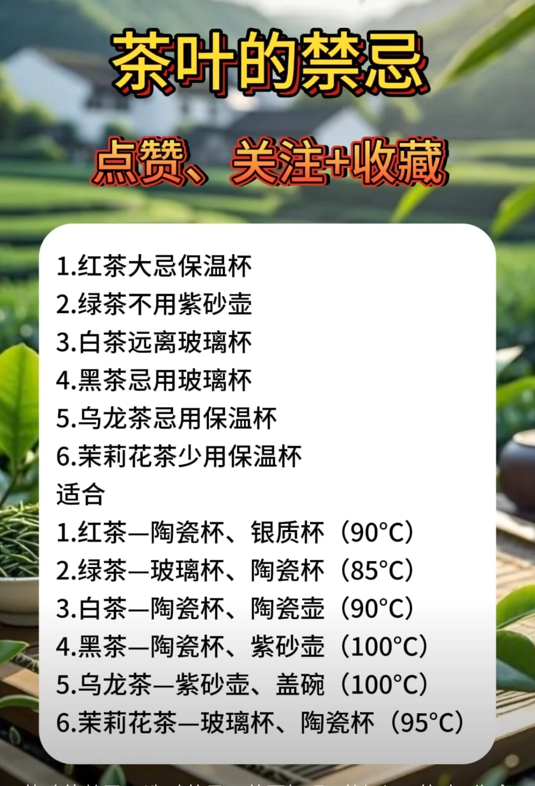 茶叶的禁忌，选对茶具，茶更好喝