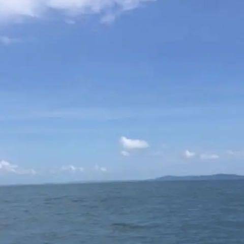 复利玫瑰顺势而为