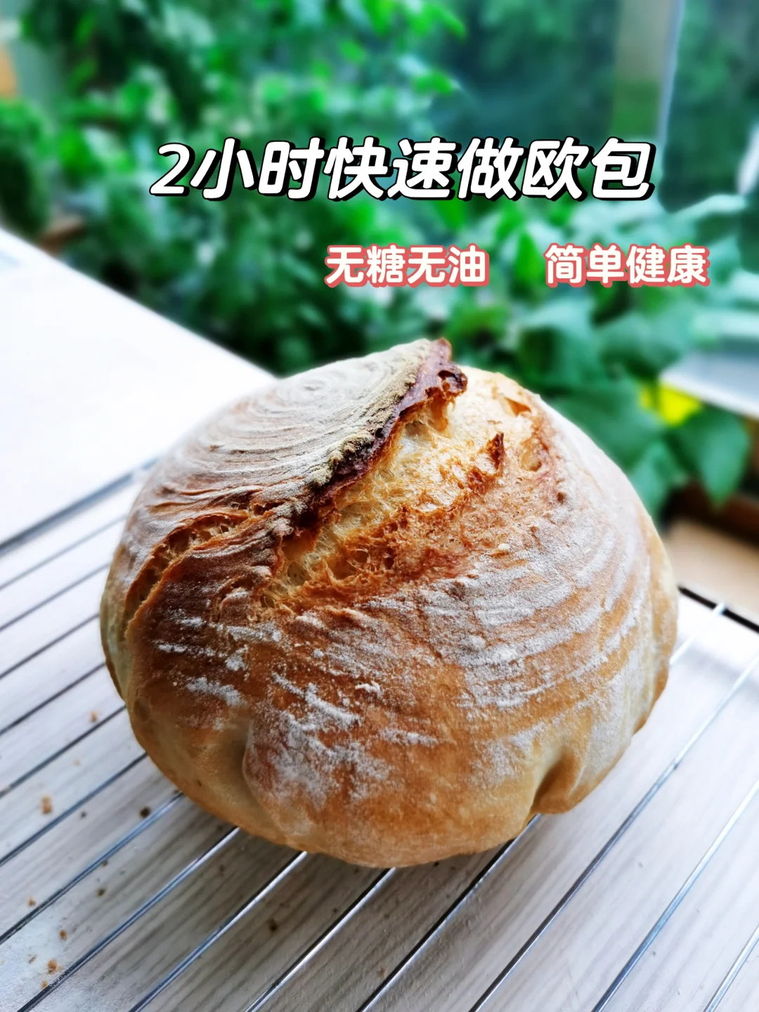 欧包不用熬夜做💤，面包机帮你快速做💯