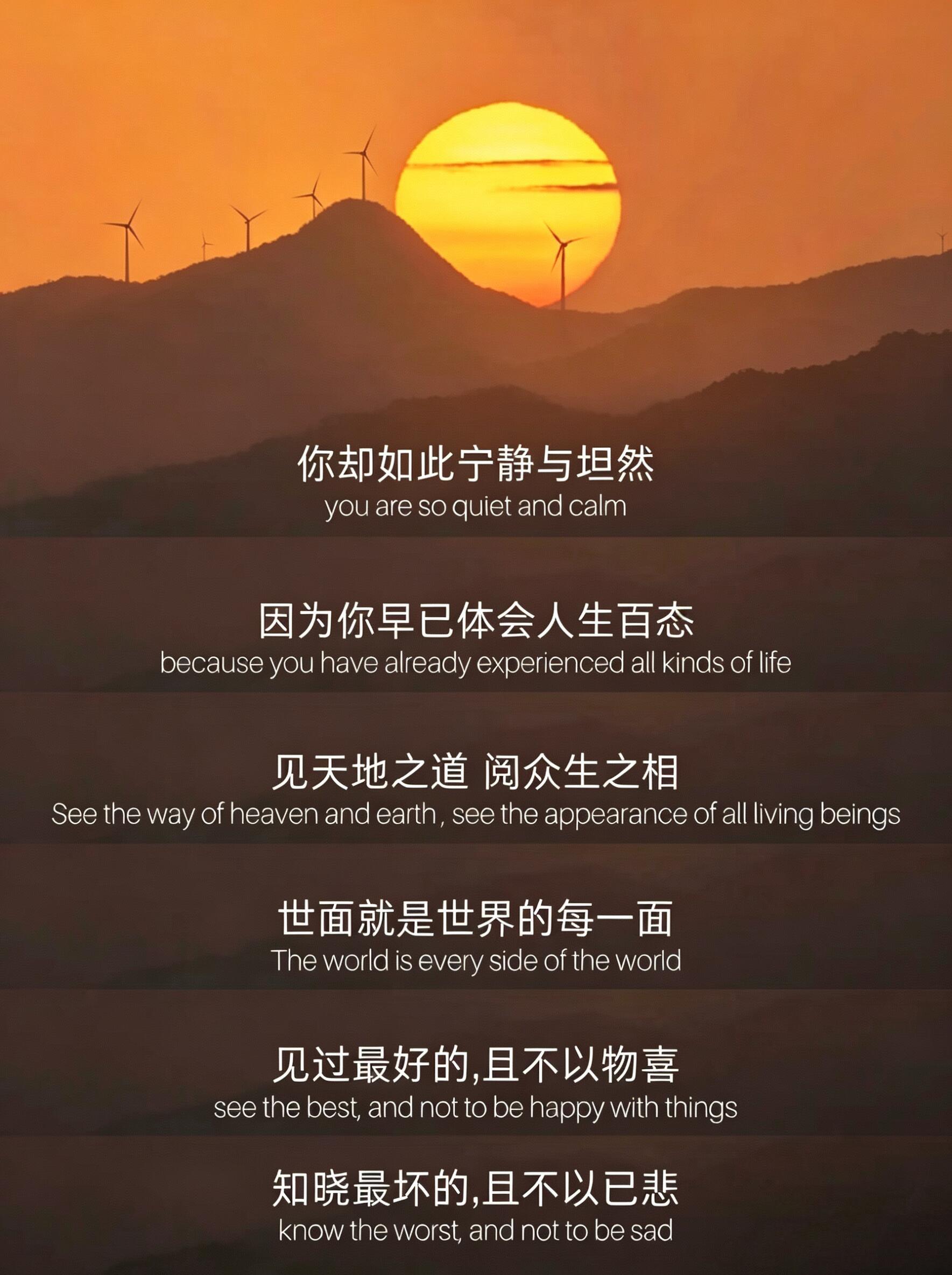 允许一切发生 ​​​