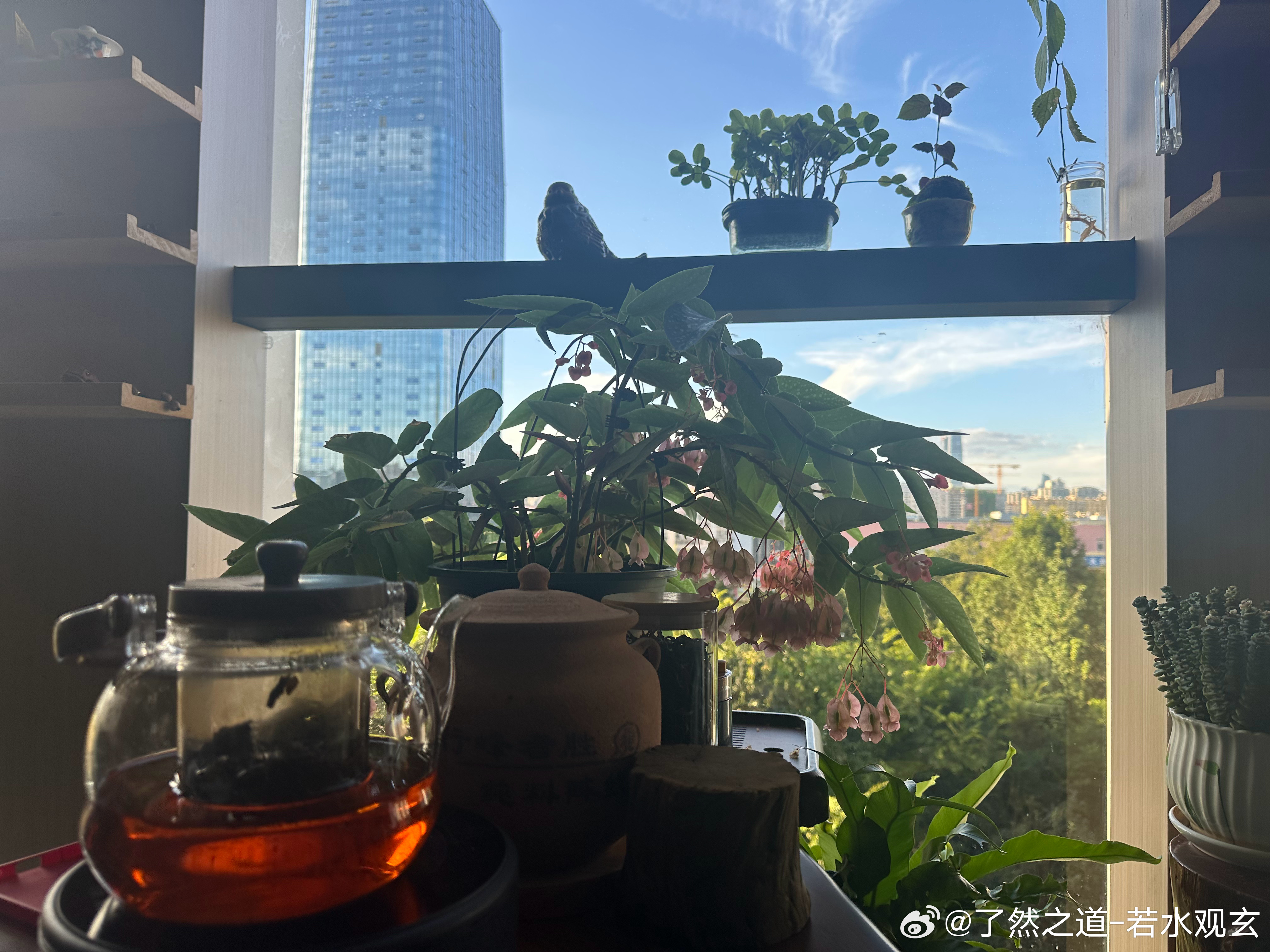 当感情陷入迷茫，纠缠难断。千万不要急于逼迫自己，立刻做出抉择。人心在情绪的漩涡之中，判断力本就已经蒙尘。此刻做出的取舍，大多源自恐惧、不甘，而非本心。以命理而言，情缘自有时节。缘浓之时，朝夕相伴；缘浅之时，步履相离。并不是所有的执念，坚持到底就能够圆满。第一步，先停下主动推进。不必反复追问对方，不去拼命求证爱与不爱。暂时搁置纠结，收回向外求索的心，把注意力放回自身。好好休养身心，打理自己的生活。心神安稳，智慧才会浮现。第二步，静观事态自然显象。时间会把这段关系原本的模样，完整呈现在你的眼前。合适的缘分，历经沉淀之后，自会寻到出路。孽缘劫数，强行挽留，只会不断耗损你的福气。第三步，听从本心，顺势抉择。等到心绪不再躁动，能够冷静看清利弊得失。你内心真正想要的答案，自然清晰。感情最好的修行，不是死死抓住某个人。而是无论结局聚散，你始终保全自身完整的气场。缘来惜取，缘去不惊。不困于情爱执念，便是渡己。若水观玄感情