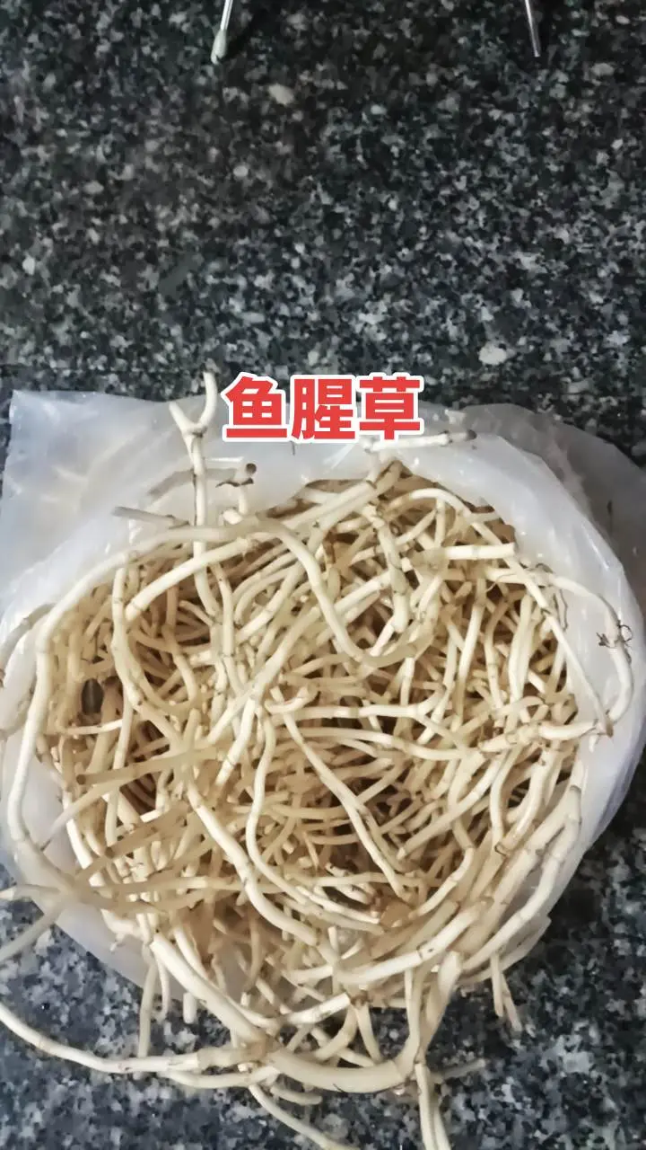 第二届