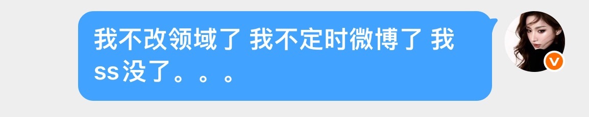 领域也没改成 ss也没了 ​​​