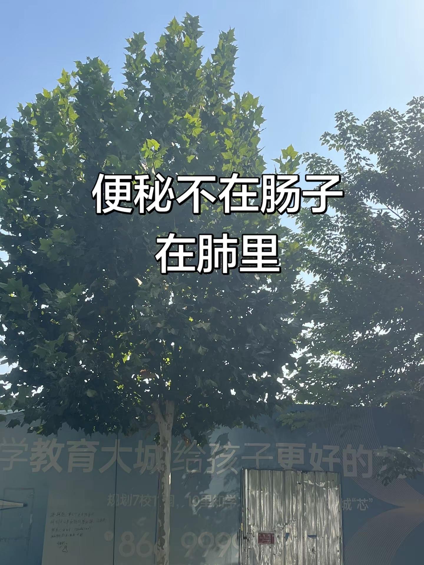 马刺还是太年轻了，关键失误&amp;绝杀不中，马刺主场再负尼克斯文班亚马错失绝杀