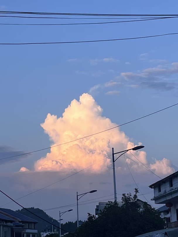 冥冥之中，一场猝不及防的生命一课✨