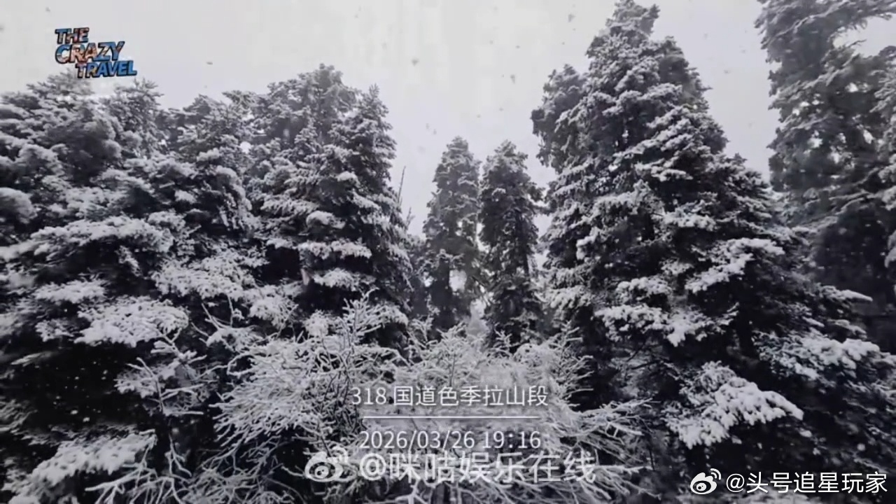 西藏很美，但暴雪堵车5小时不美。姚琛这次带妈妈出行虽然过程惊险，但能安...