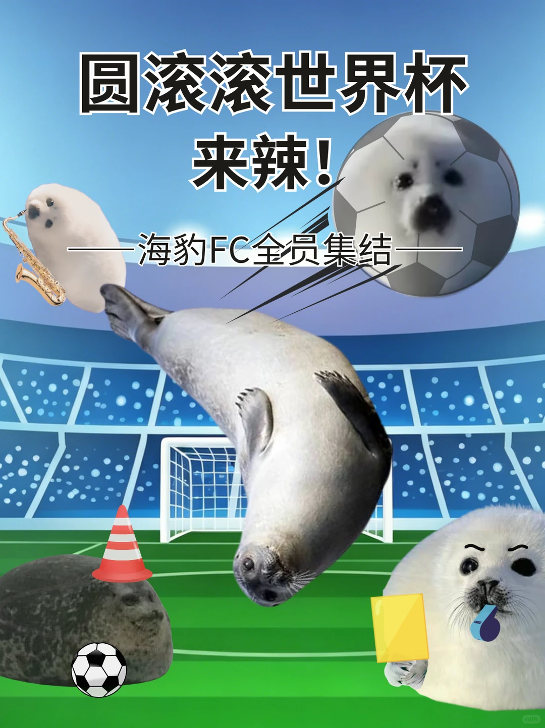 姆姆也来踢球了🏆