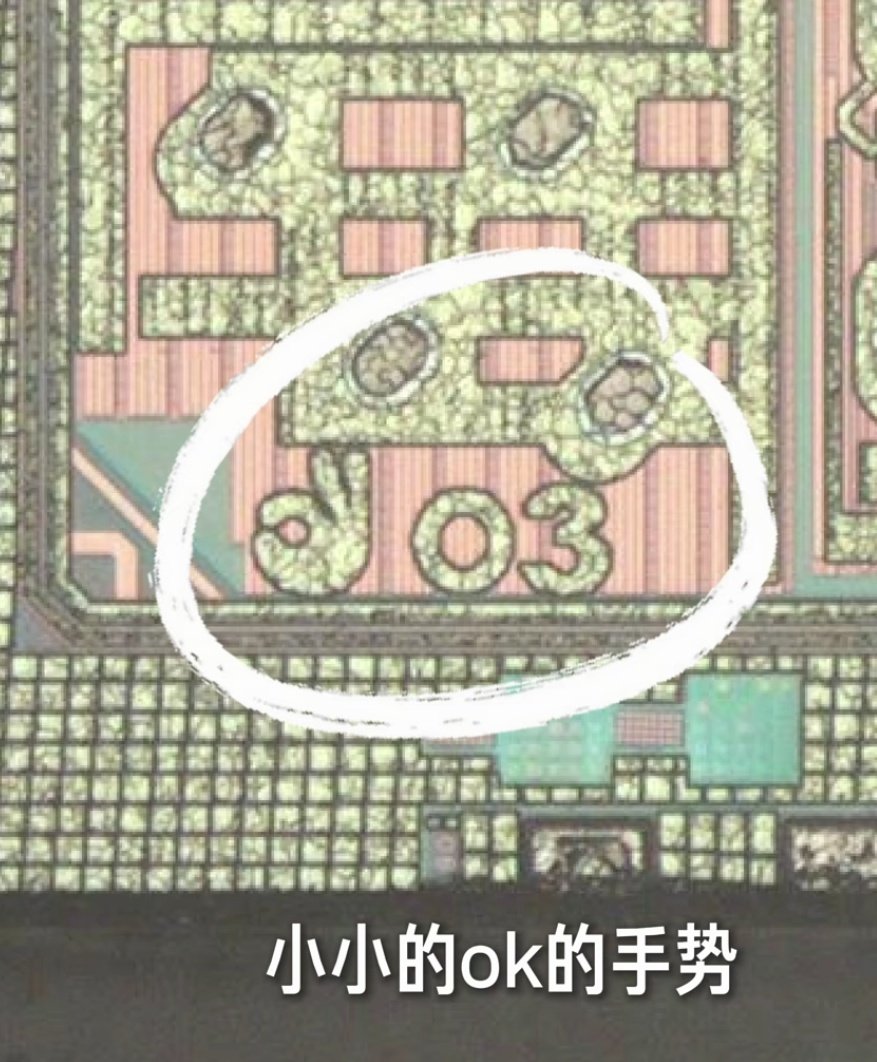 #雷军说芯片很贵不建议拆开看彩蛋# 按照这届网友的风格，不说还好，这样一来这颗芯片是难逃被拆的命运了[跪了] ​