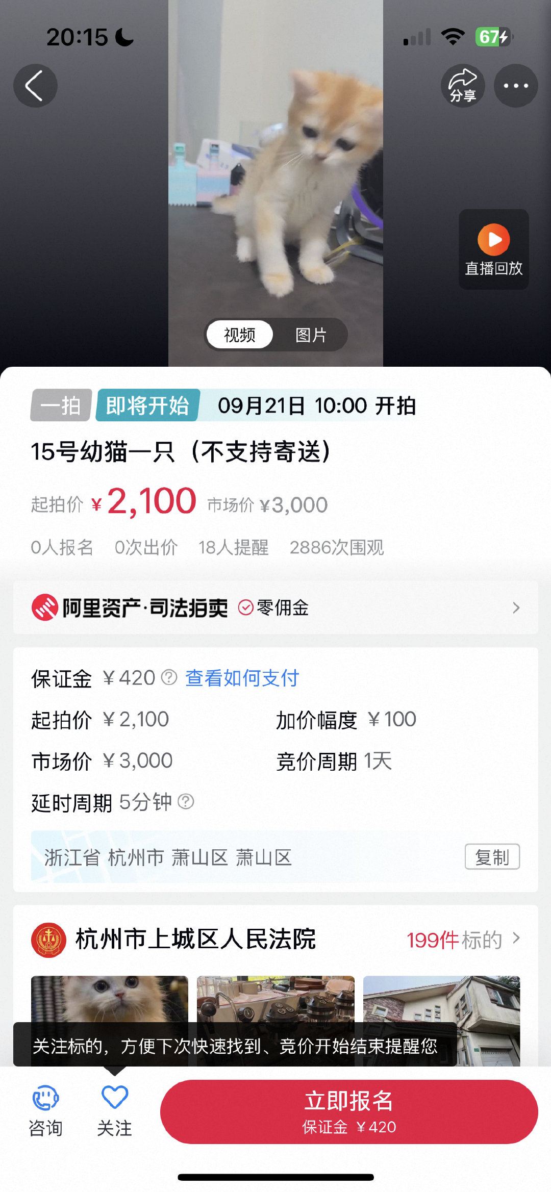#主人欠4万15只幼猫将被法拍还债#希望这个欠债的以后不要再繁殖猫咪了，让别人的爱心来为他还债…… ​