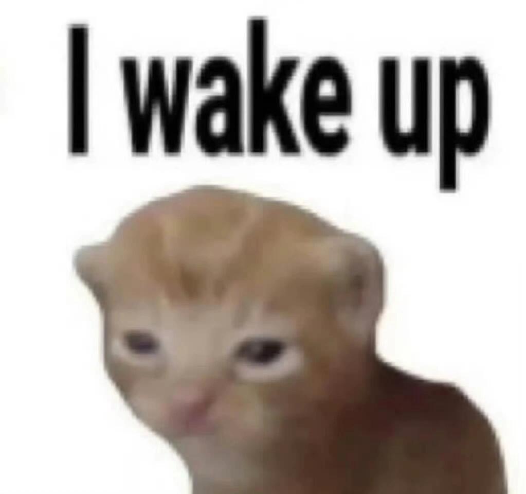 又到了存表情包的快乐时间🕑