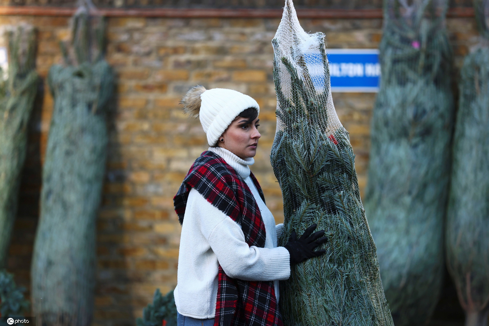 聖誕節臨近 英國民眾采購聖誕樹-圖10