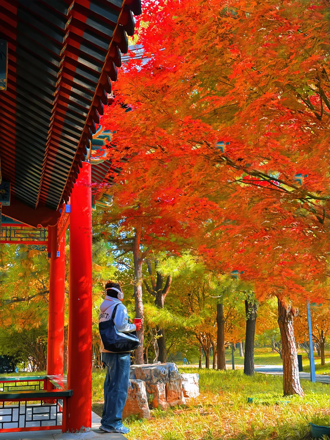 赏红枫别去挤奥森了！这个公园人少好拍！🍁