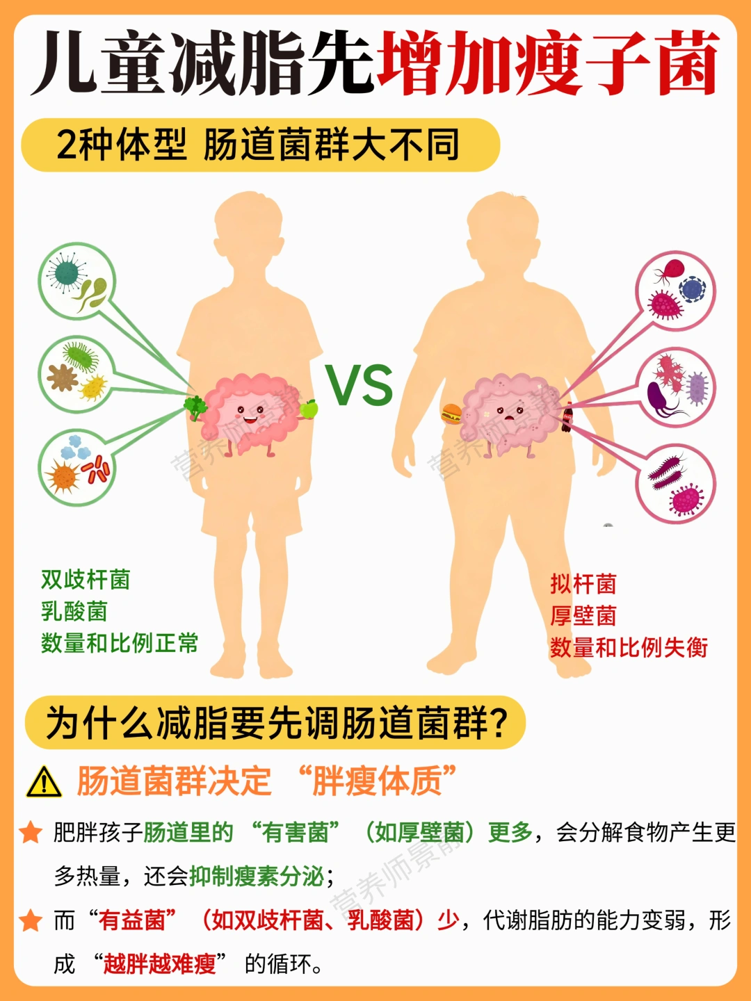 不是少吃就能瘦｜胖孩子减脂先调整肠道菌群