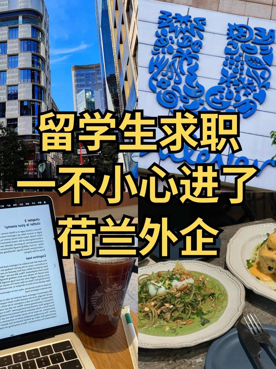 留学求职一不小心进了：荷兰外企🤗