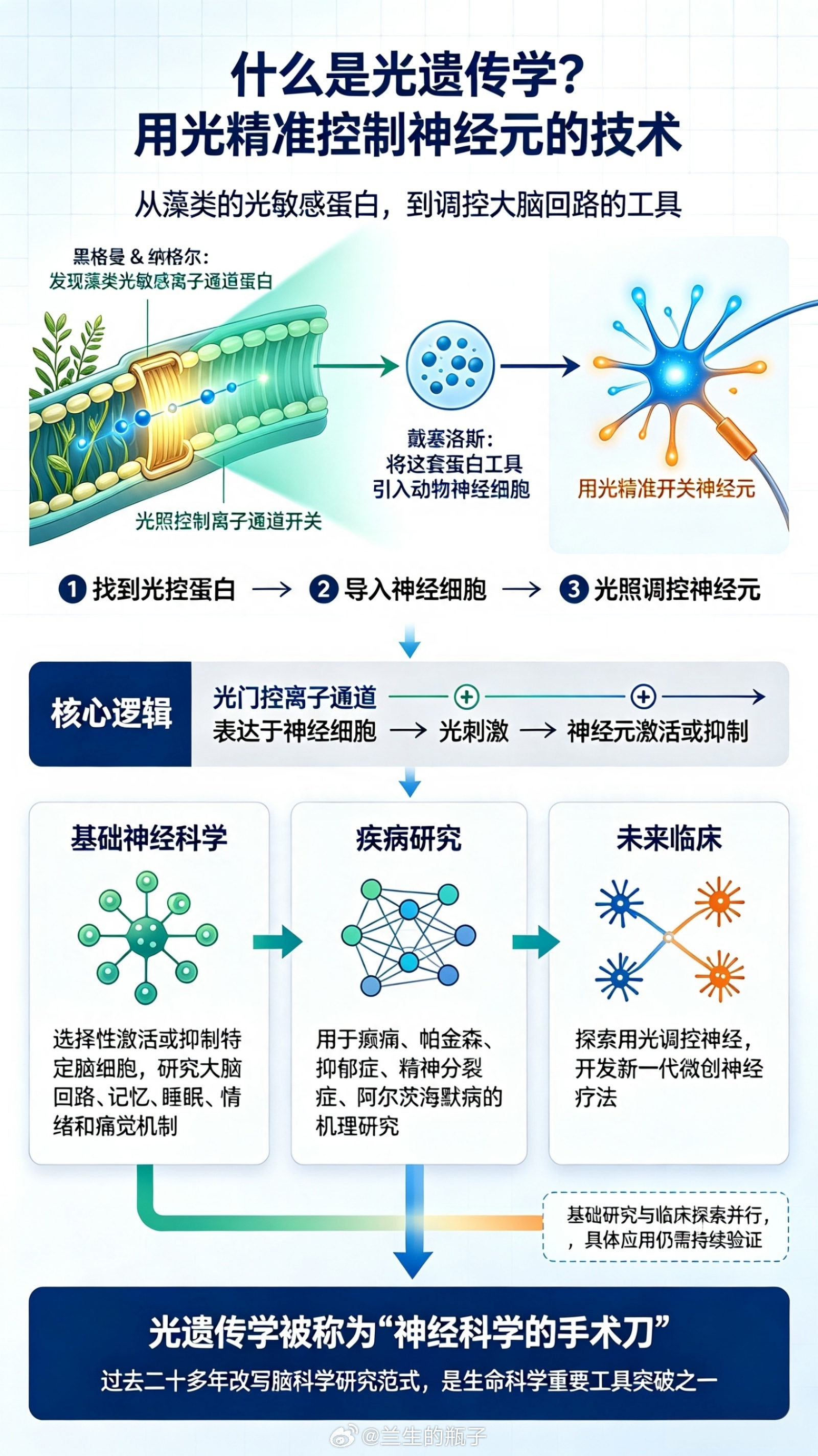 诺贝尔

一、重组蛋白/科研试剂（上游分子原料）
 
1. 近岸蛋白(688137)：重组膜蛋白定制表达平台，可承接光敏蛋白定制开发
​
2. 义翘神州(301047)：科研重组蛋白供应商，可定制光敏相关蛋白
​
3. 诺唯赞(688105)：提供载体构建、分子酶类配套试剂
​
4. 阿拉丁(688179)：供应配套生化科研试剂
 
二 ​