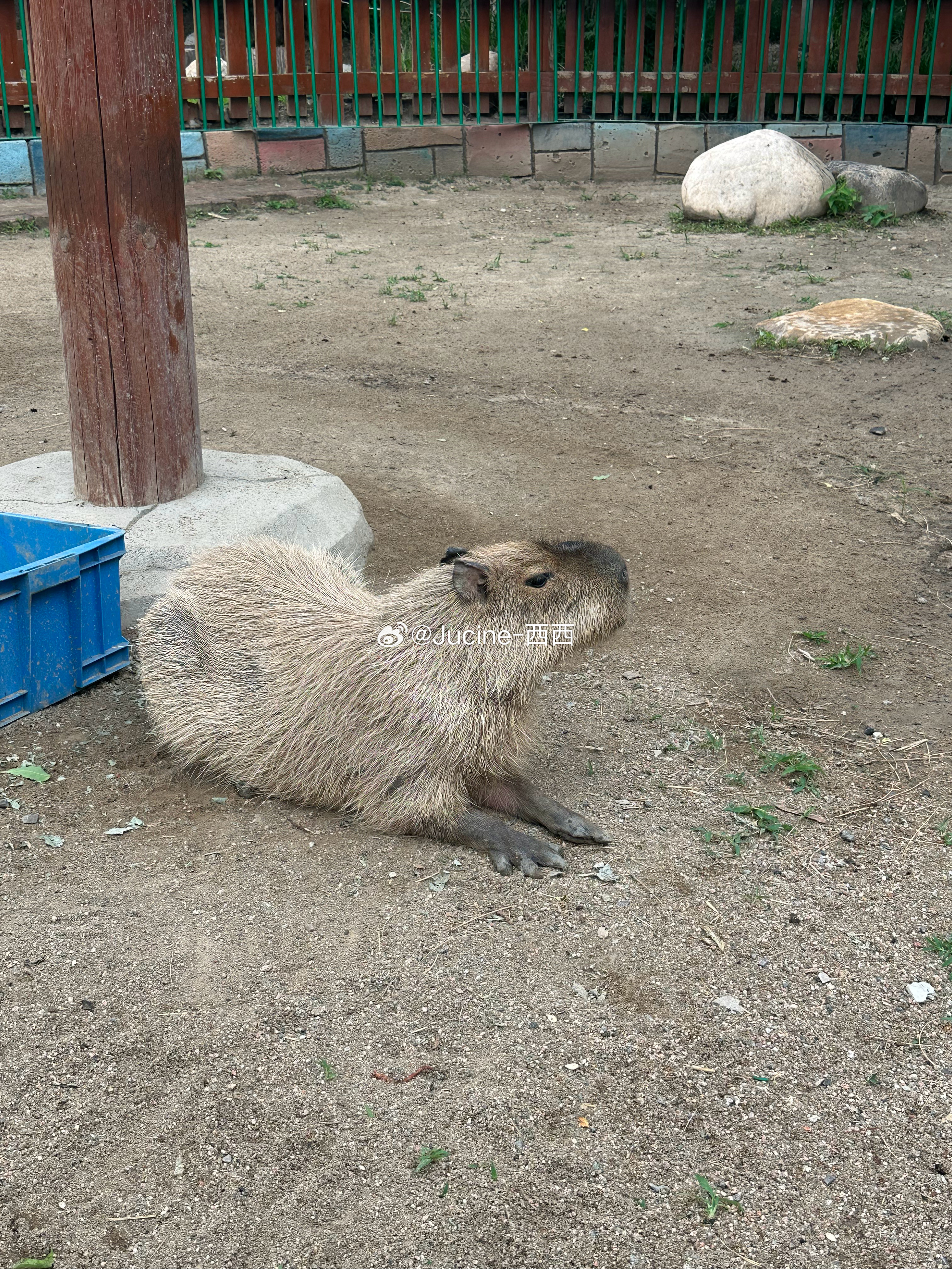 起风了 ​​​